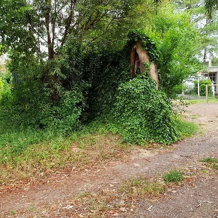 Bidwell Cottage Daylesford Exterior photo