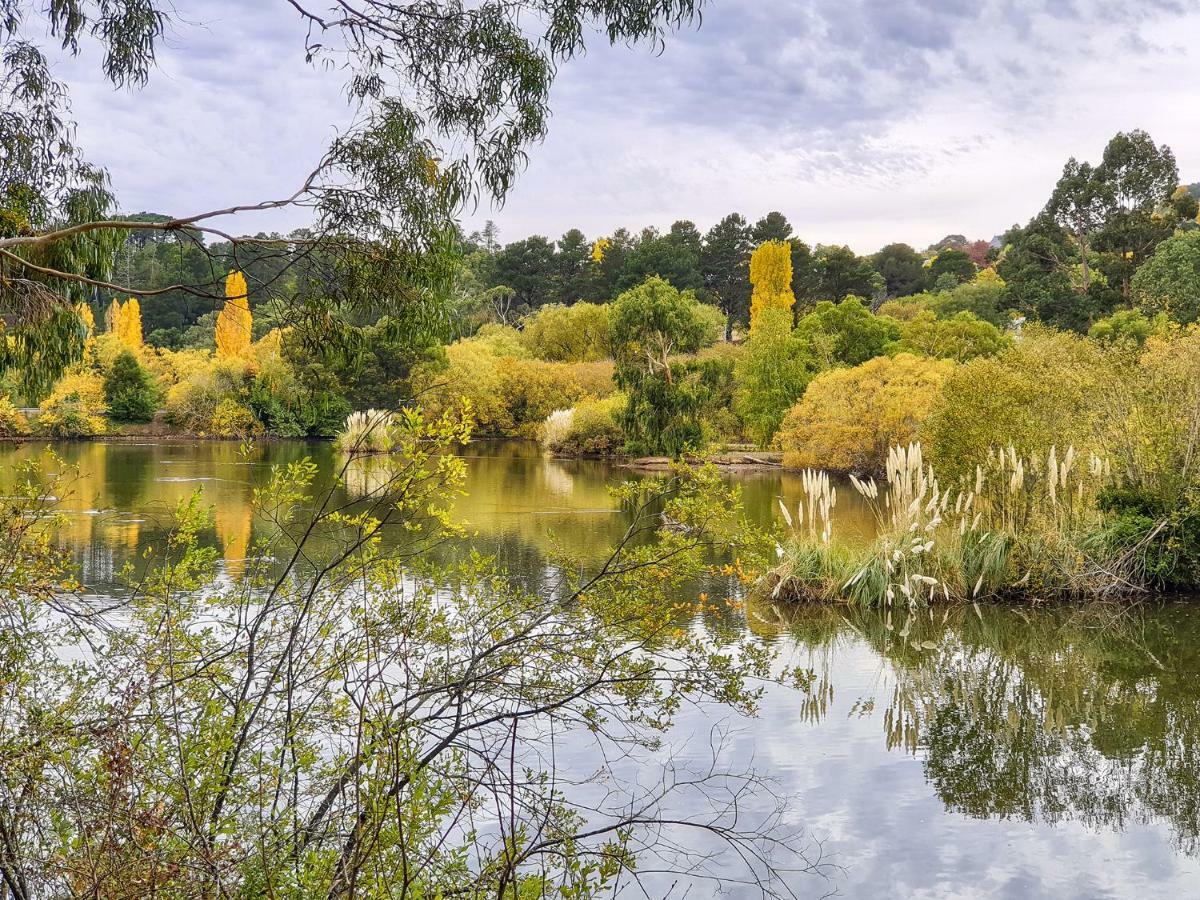 Bidwell *